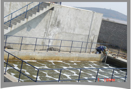 ��ˮ���� 